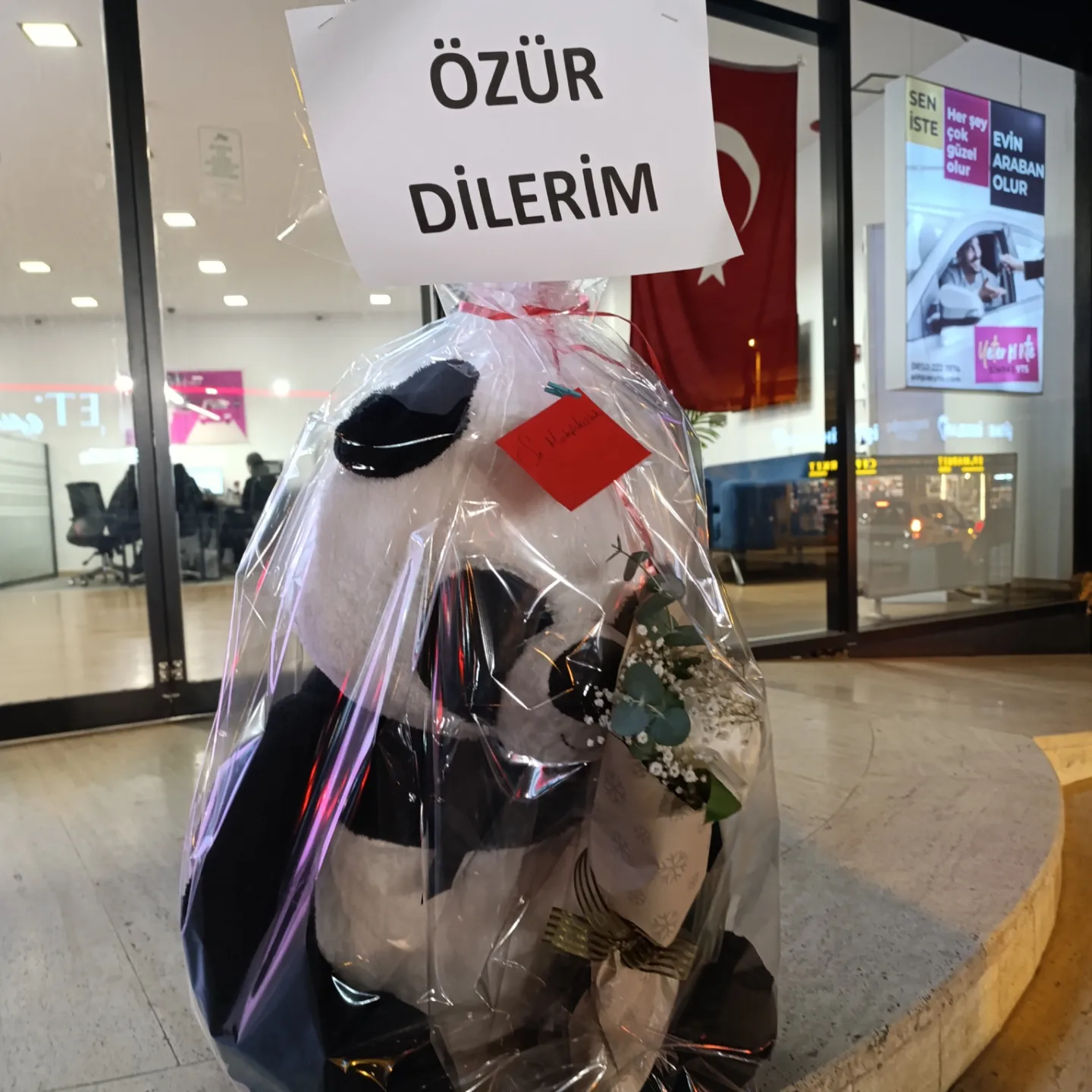 Panda ve 1adet şakayık özür dilerim